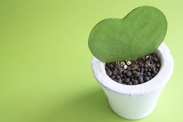 NPO法人宮若の里 |福岡県若宮市にある特定非営利活動法人